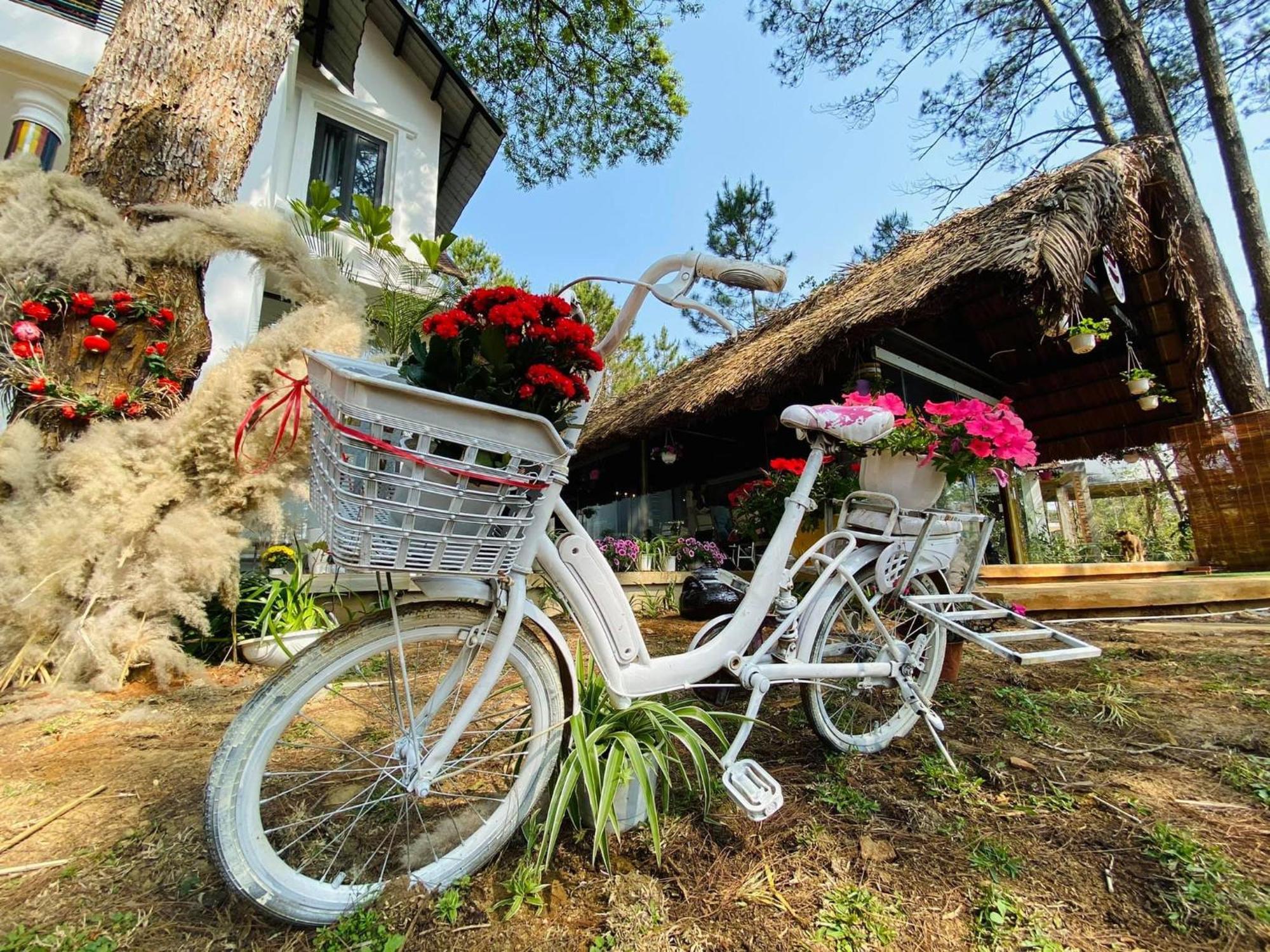 Vita Homestay Mang Den Kon Von Kla Екстер'єр фото